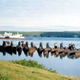 Illustration for article titled Theres nothing sadder than the wreck of a once-great submarine